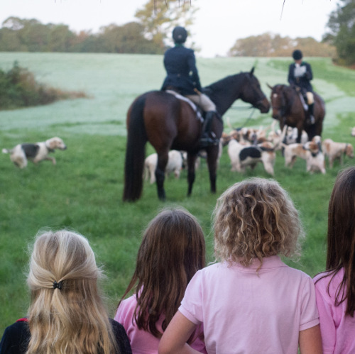 kids in foreground watching hunt staff and hounds in background