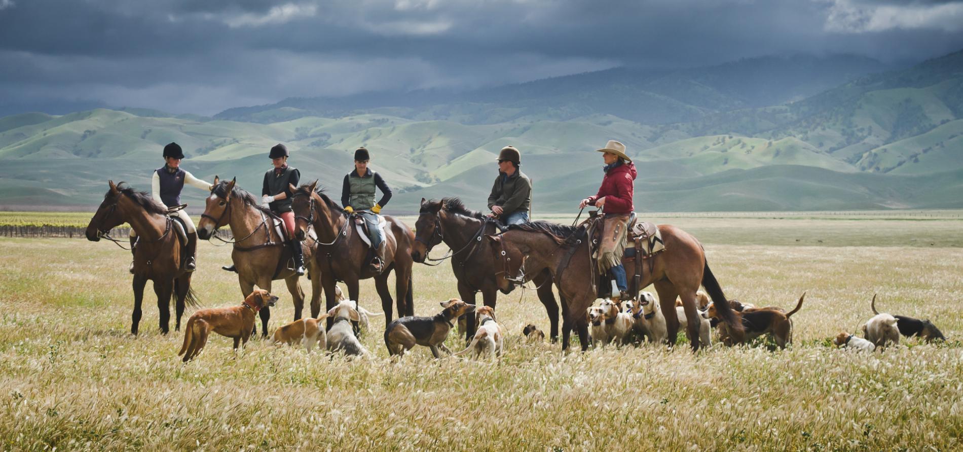 Western hunt field with hounds