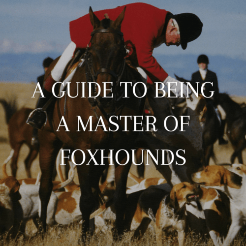 mfha-policies-guidelines-guide-to-being-master-of-foxhounds