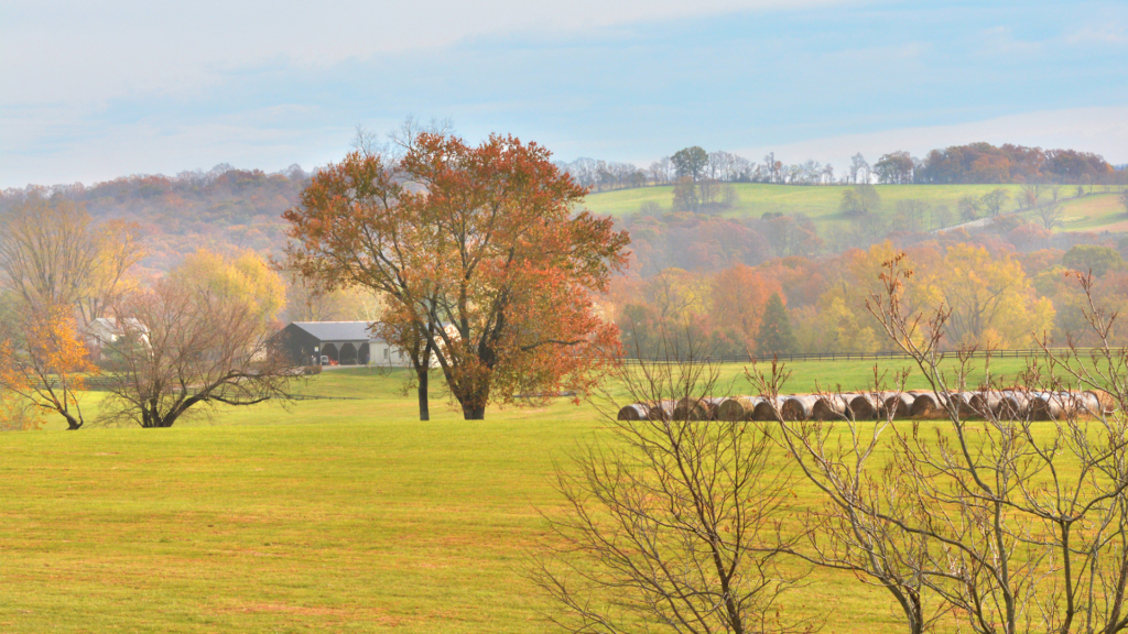 farm with round bales and pastures