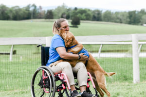 service dog golden retriever with woman in wheelchair at Dog Daze event