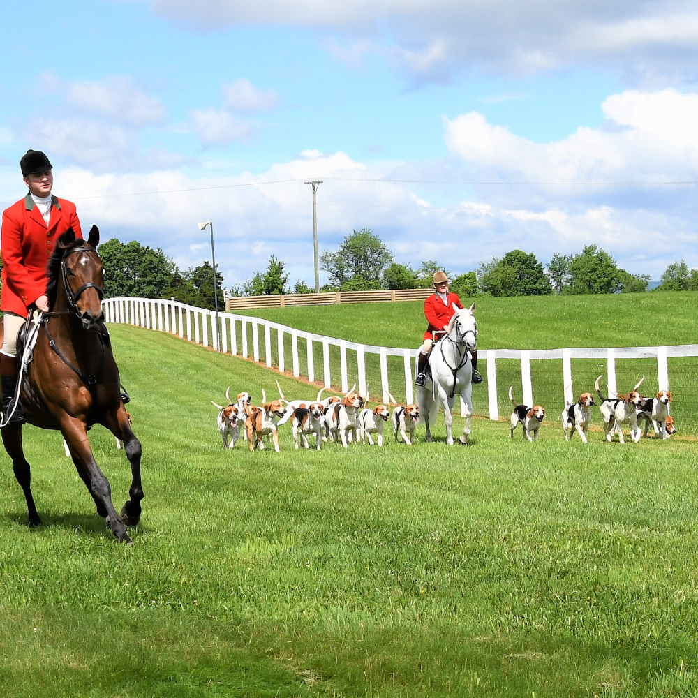 Middleburg Hunt Masters of Foxhounds Association of North America