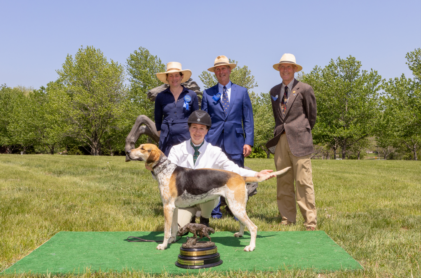 Central States Hound Show Grand Champion: Harvard Foxhounds Gidget’21