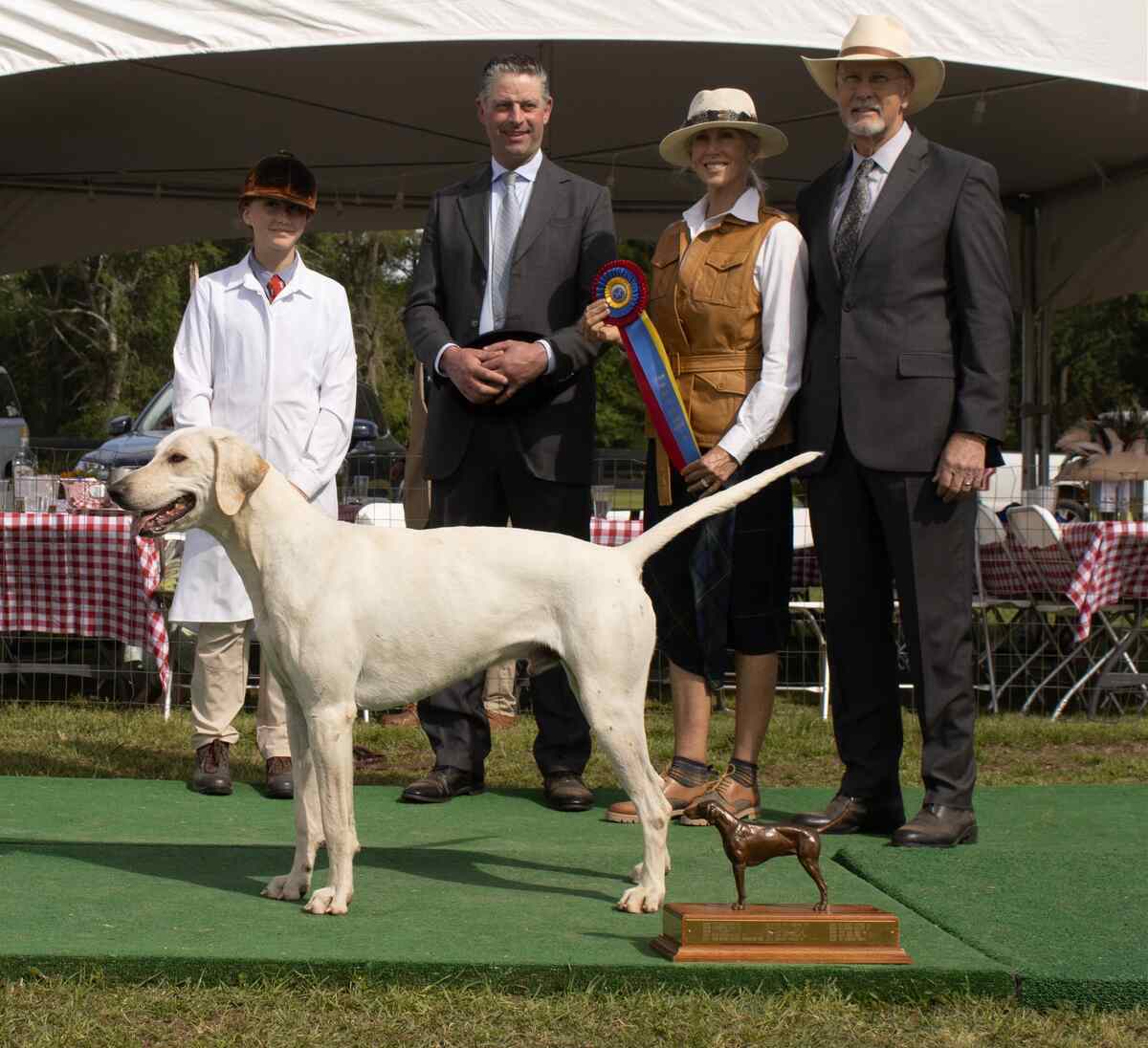 Hound posed with handler and judges Hillsboro Rifle 2023 winner of Southern Hound Show 2024