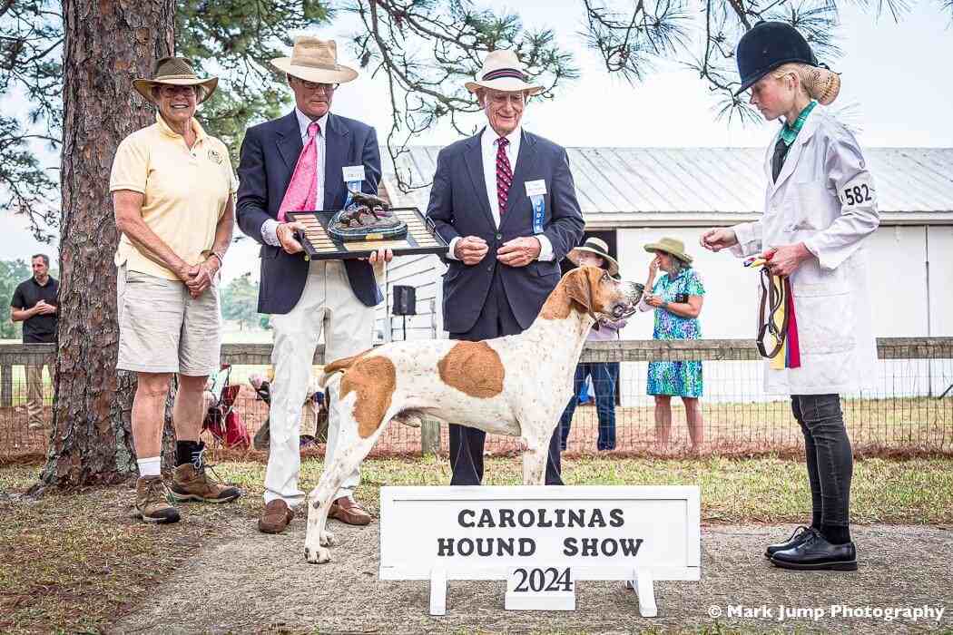 hound and handler with three judges and carolinas hound show sign