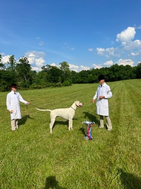 Grand Champion Hound with handler and judge