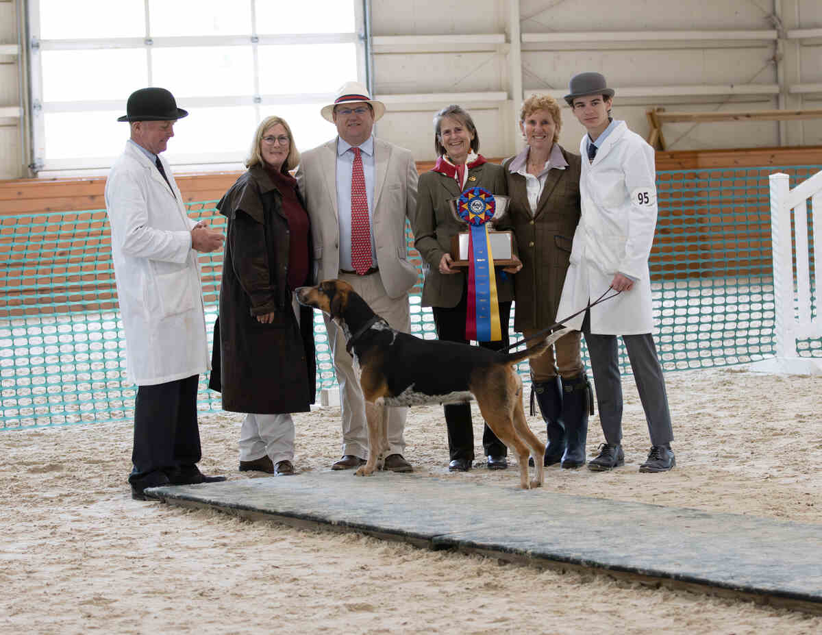 hound with handlers and people posing for photo