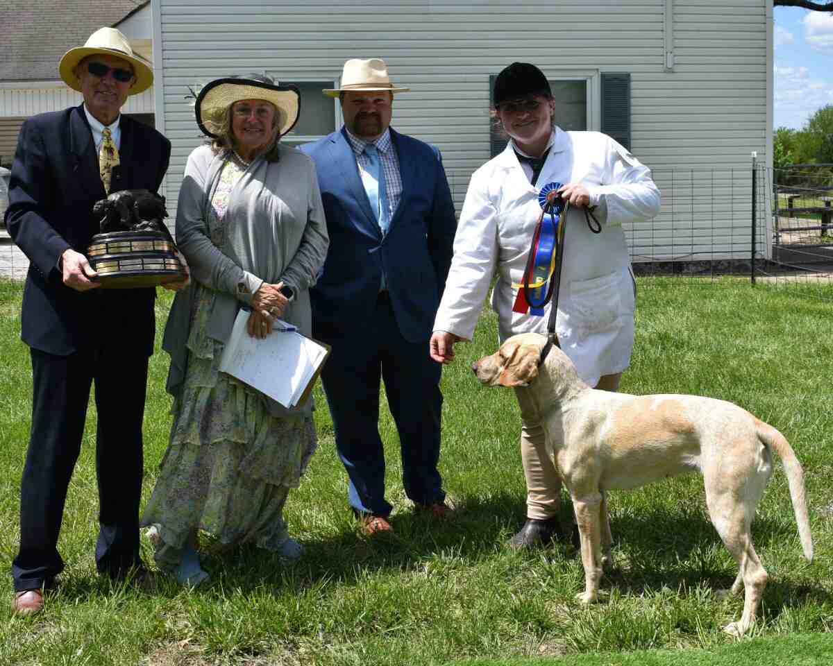 hound posed in front of four people