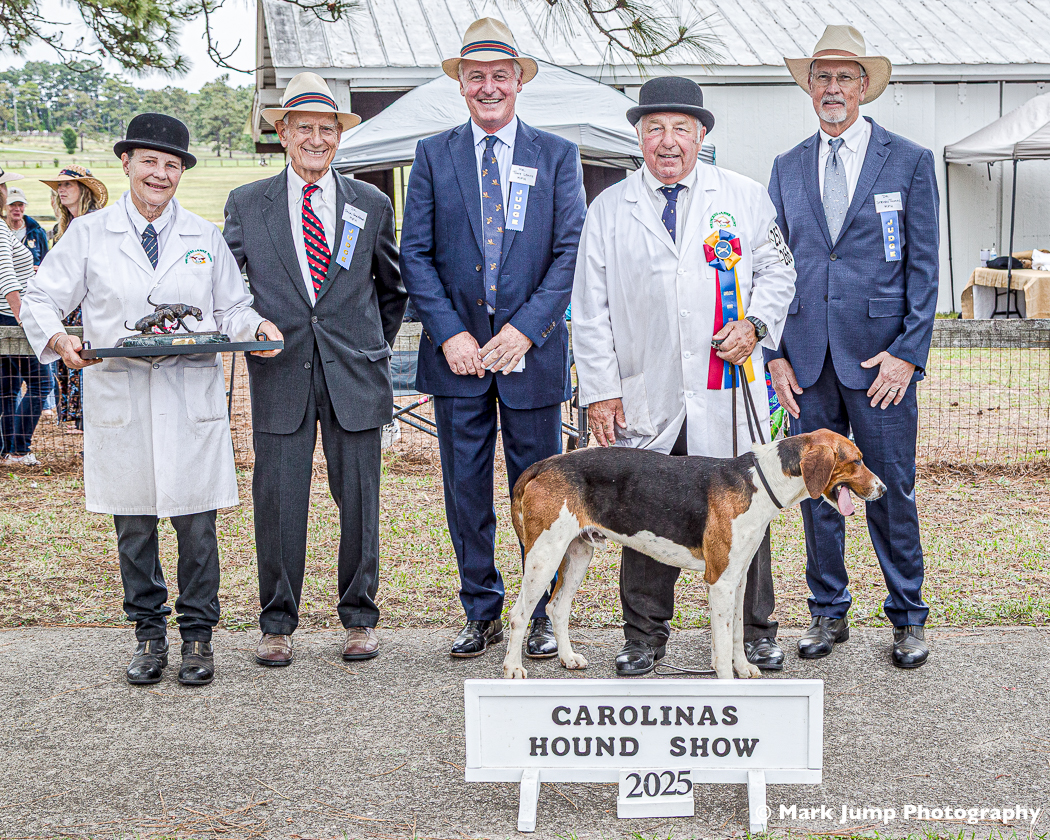hound posed in front of five people