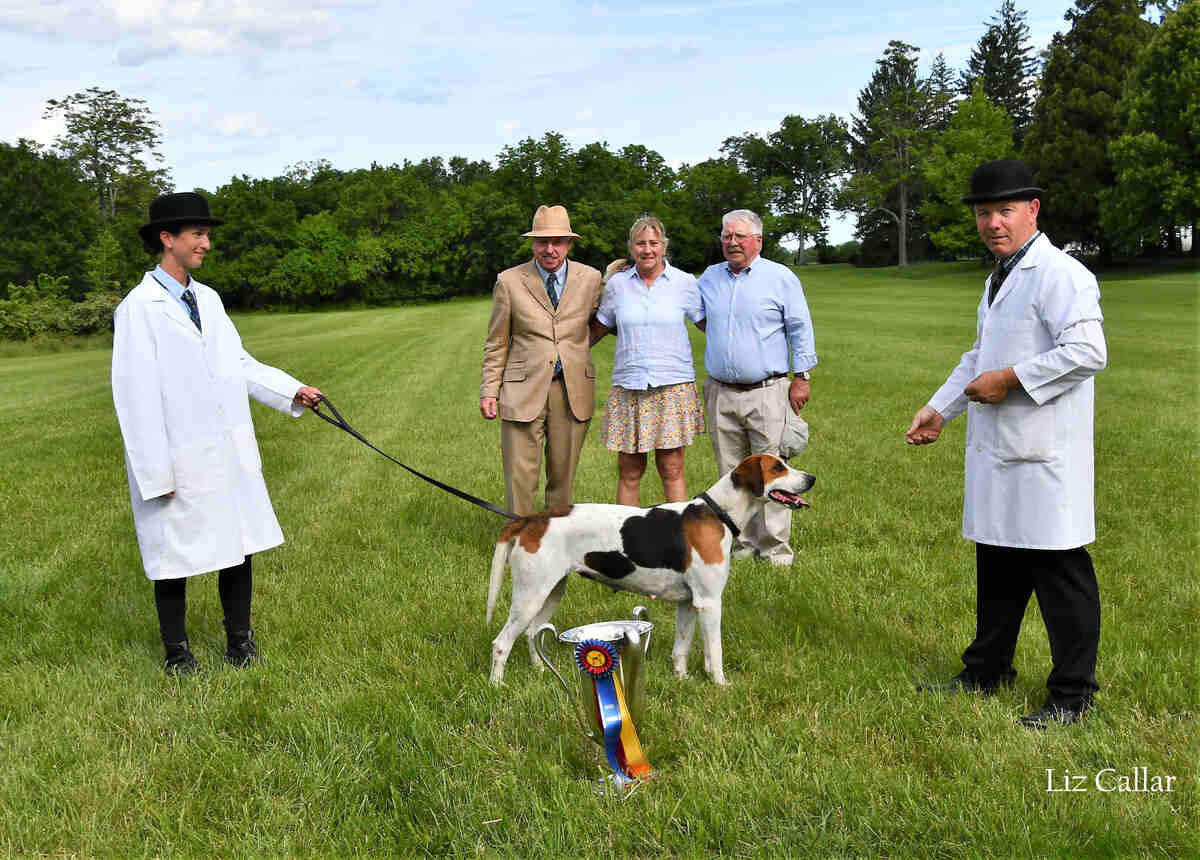 Hound with handlers and trophy
