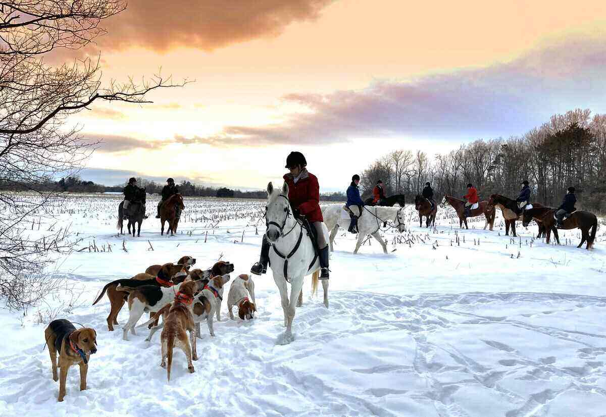 Image of hunt horses and hounds in snow, with sun coming up