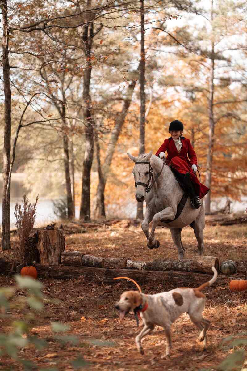 Rider jumping log in sidesaddle