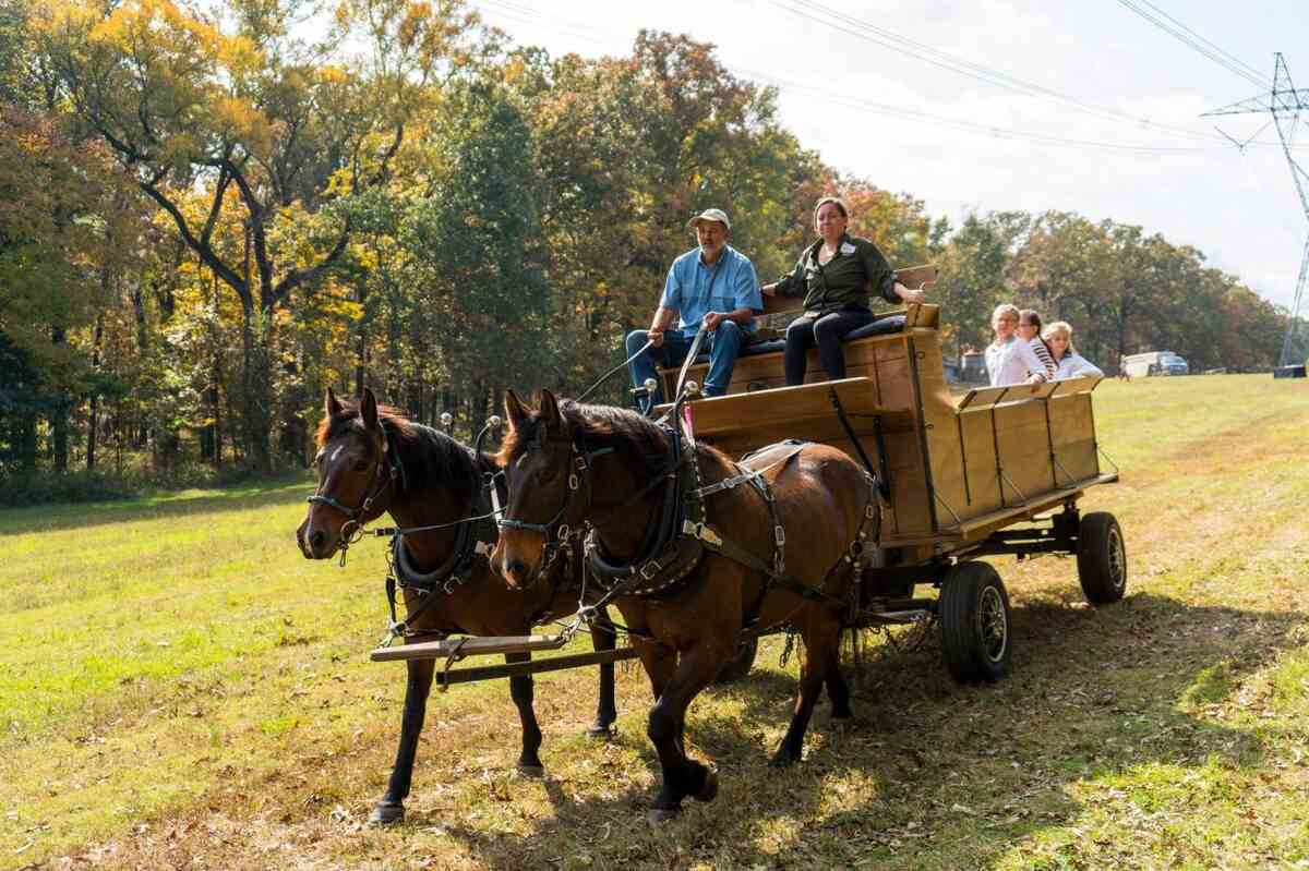 Two horses drawing a wagon filled with people