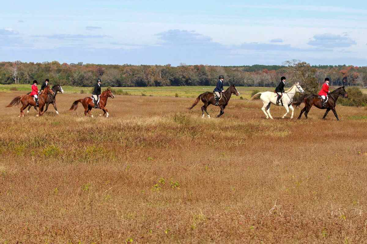 Six hunt horses galloping across field