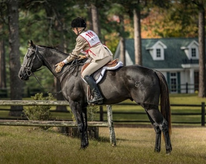 Rider on horse, patting neck of horse
