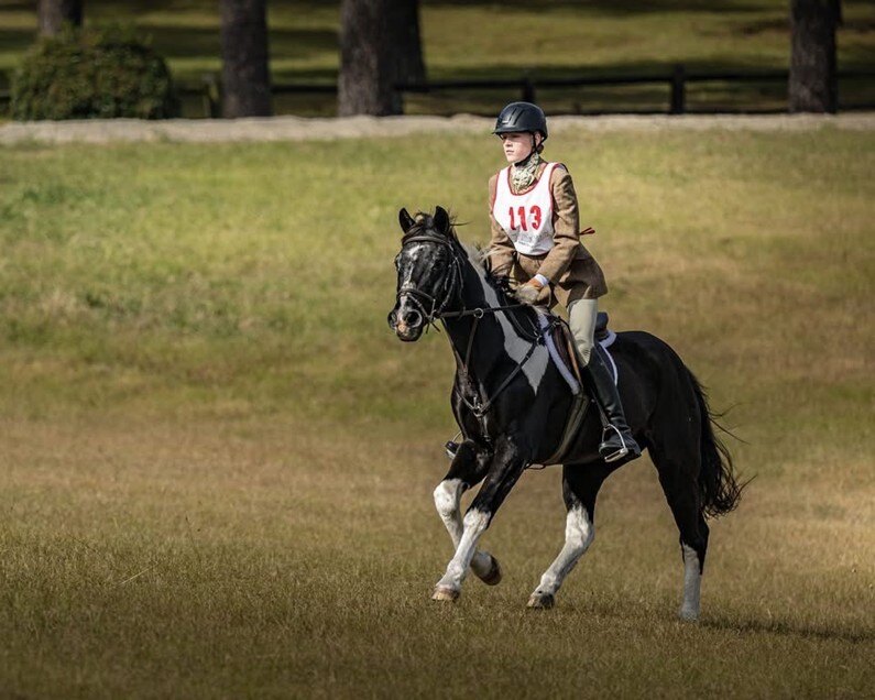 Rider galloping horse in field