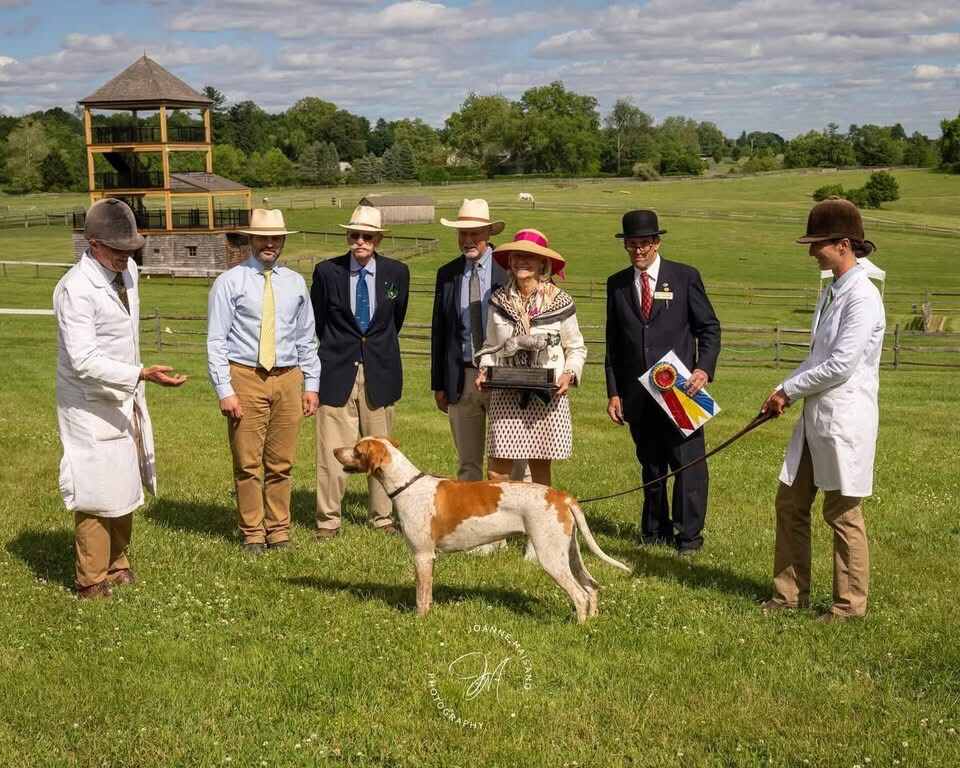 Hound with several people, trophy and ribbon