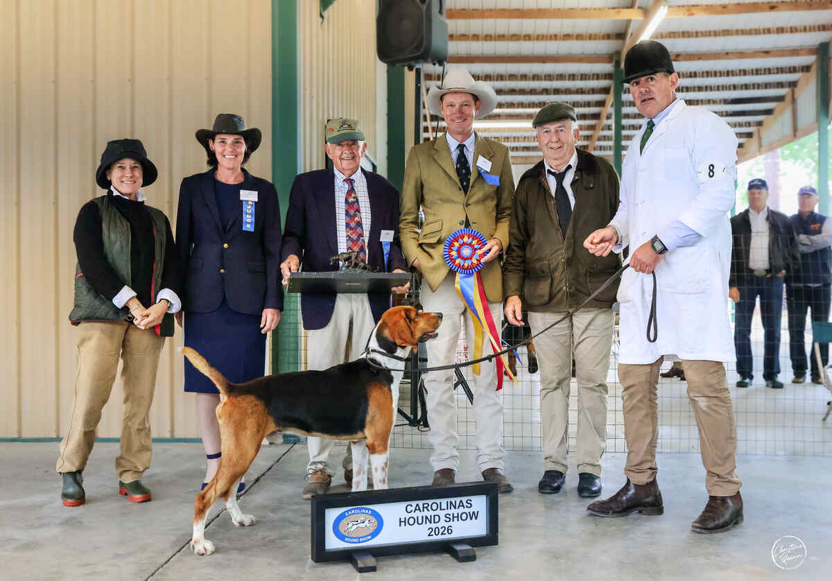 Hound with several people, ribbon, trophy and sign for Carolinas Hound Show 2026