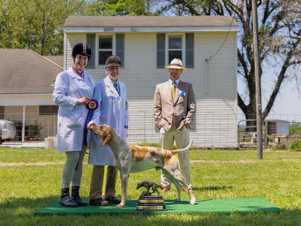 Hound with handlers, ribbon, and trophy