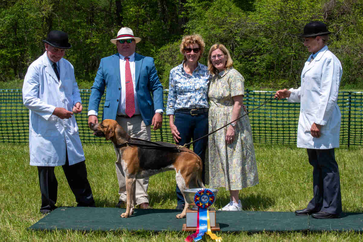 Hound with several people, trophy and ribbon