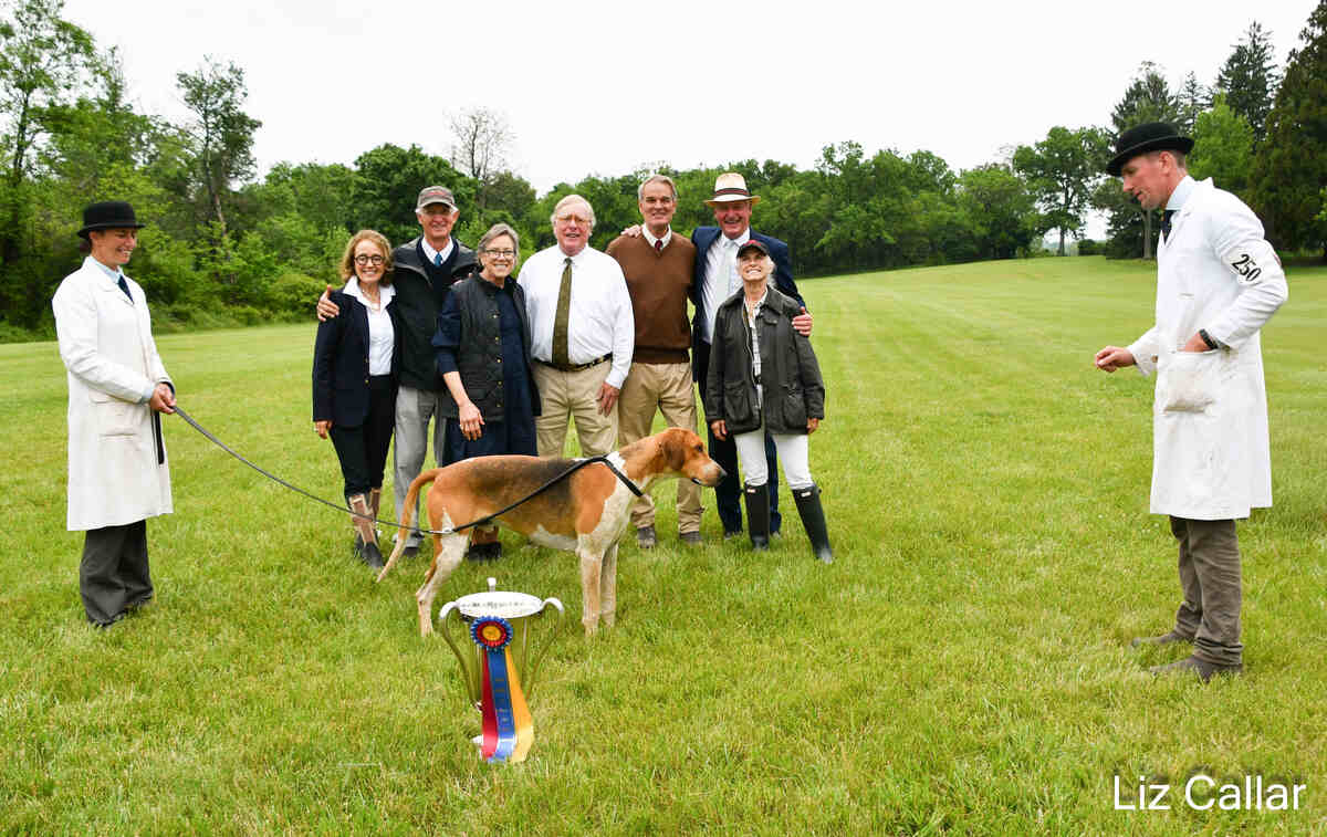 Hound with several people, trophy and ribbon